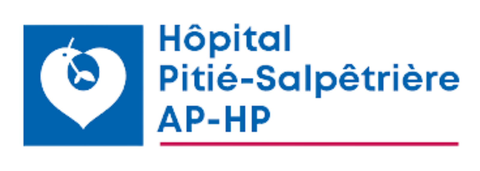 Logo Hôpital Pitié-Salpêtrière
